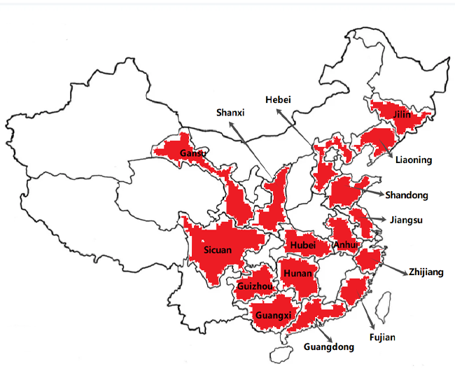 为什么选择我们